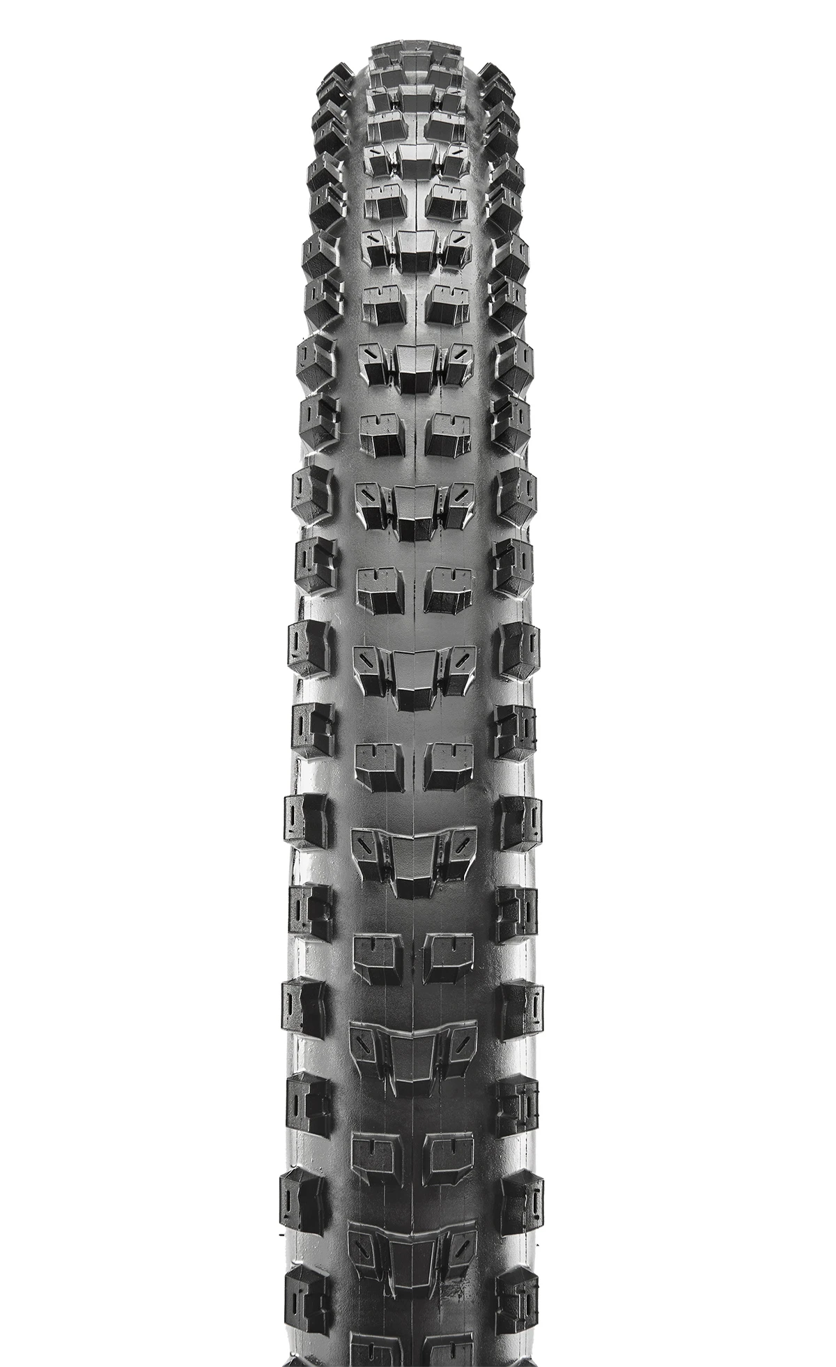 Maxxis Dissector TR, EXO, 60 TPI, Dual, Wide Trail 29x2.6 Reifen – Bild 2